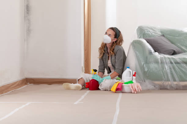 Reliable Black Mold Removal contractor in Syosset, NY by WQB Mold Removal